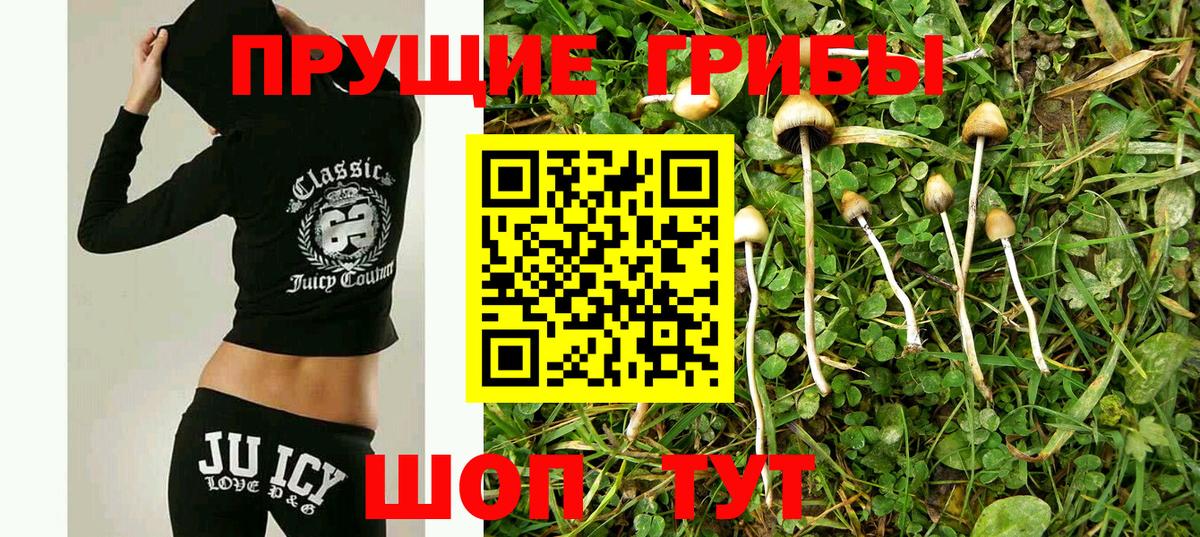 Галлюциногенные грибы GOLDEN TEACHER  Вход с VPN  Долгопрудный 